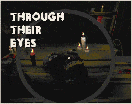 Through Their Eyes VFX